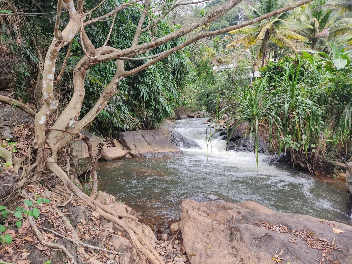 Riverbench Homestay Munnar, Anaviratty Exteriér fotografie