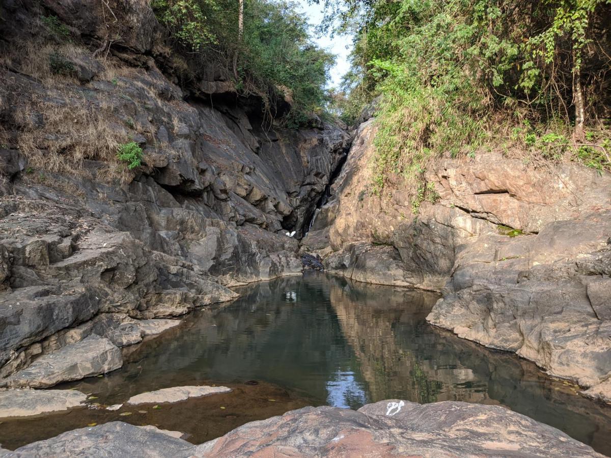 Riverbench Homestay Munnar, Anaviratty Exteriér fotografie