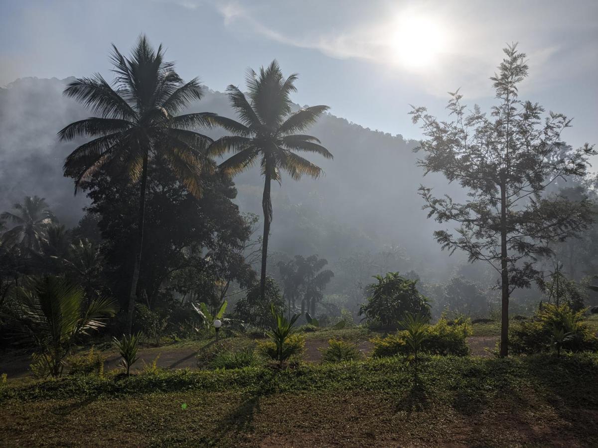 Riverbench Homestay Munnar, Anaviratty Exteriér fotografie