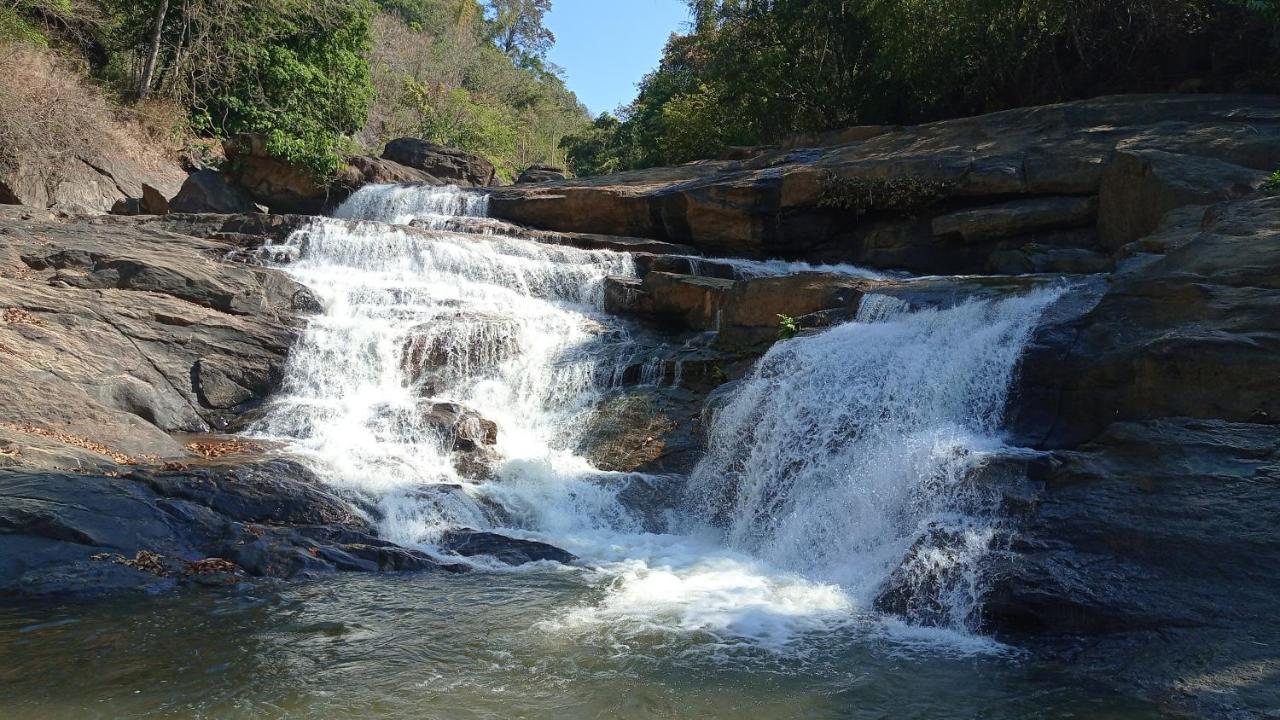 Riverbench Homestay Munnar, Anaviratty Exteriér fotografie
