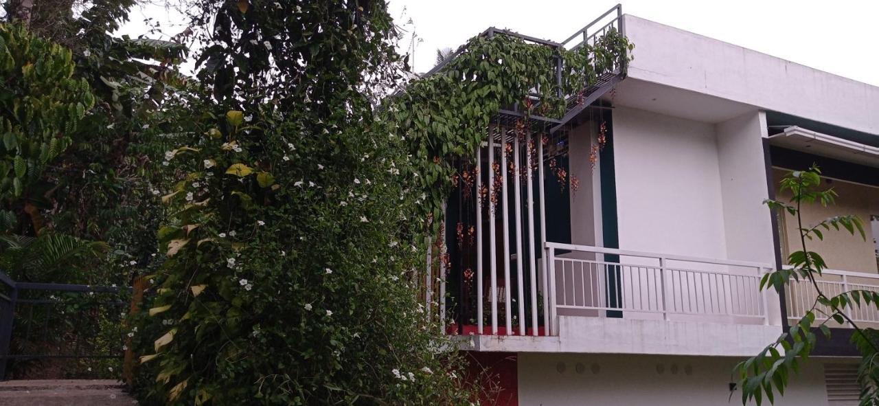 Riverbench Homestay Munnar, Anaviratty Exteriér fotografie