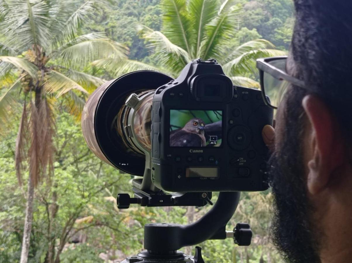 Riverbench Homestay Munnar, Anaviratty Exteriér fotografie