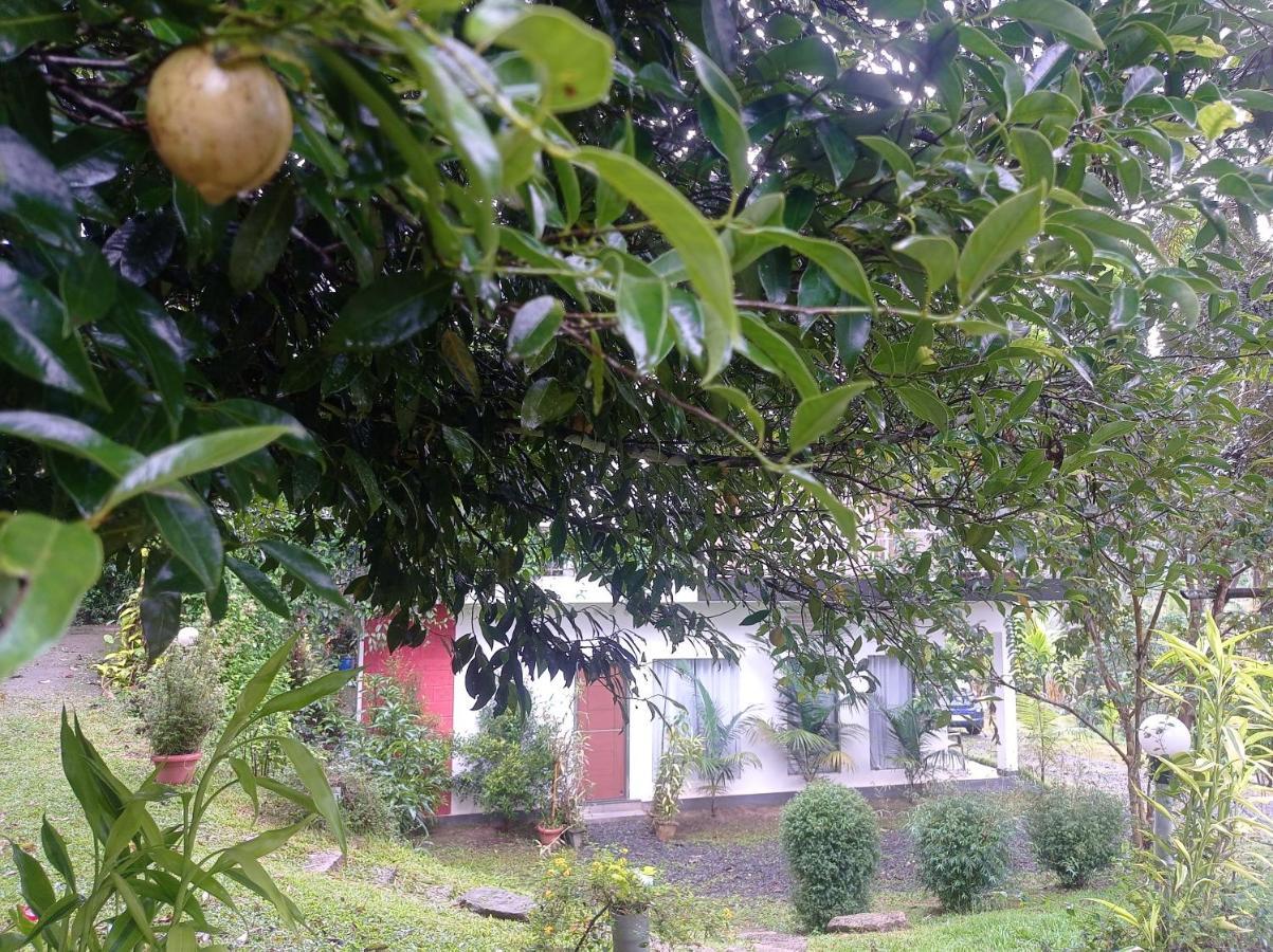 Riverbench Homestay Munnar, Anaviratty Exteriér fotografie