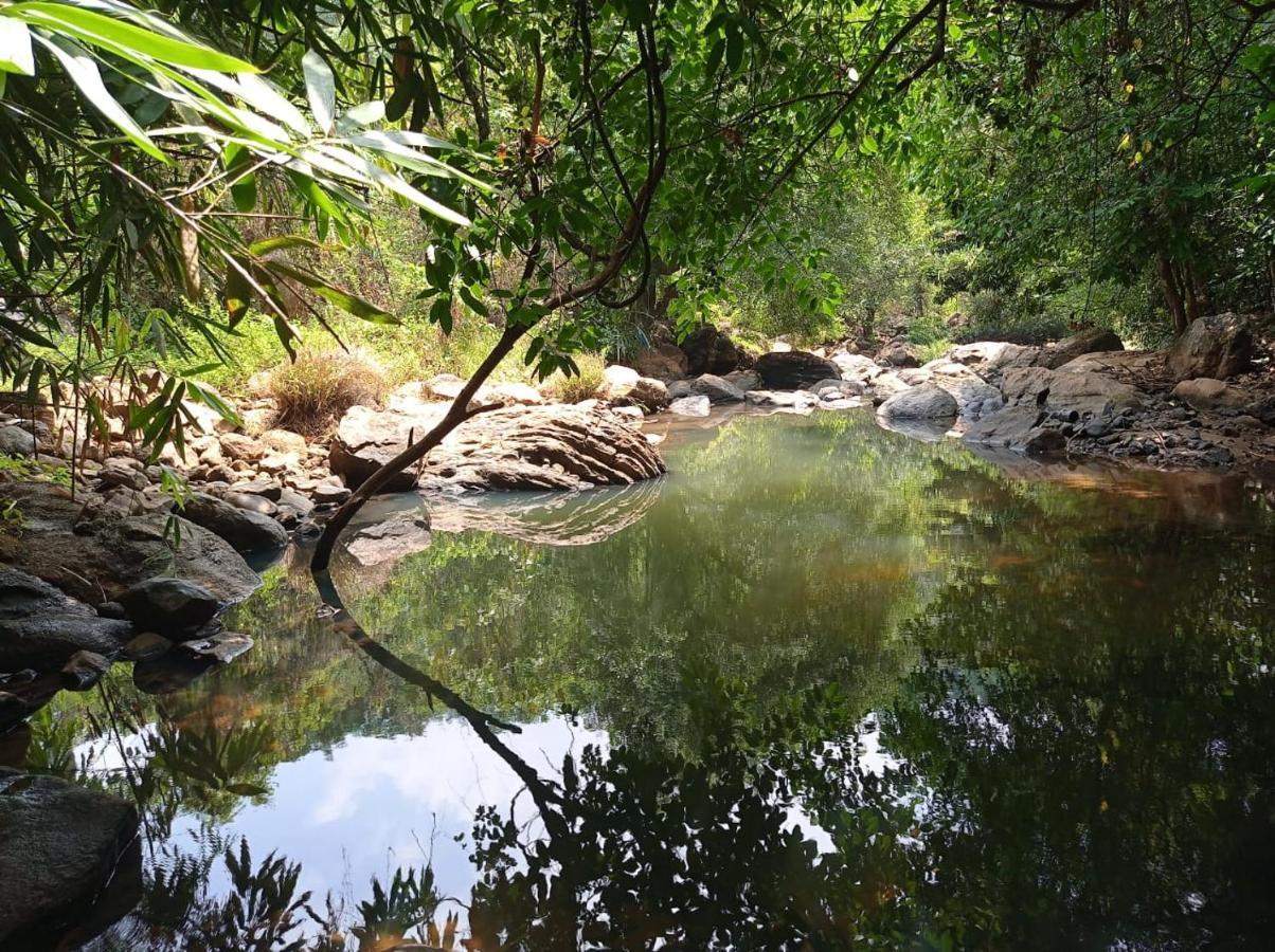 Riverbench Homestay Munnar, Anaviratty Exteriér fotografie