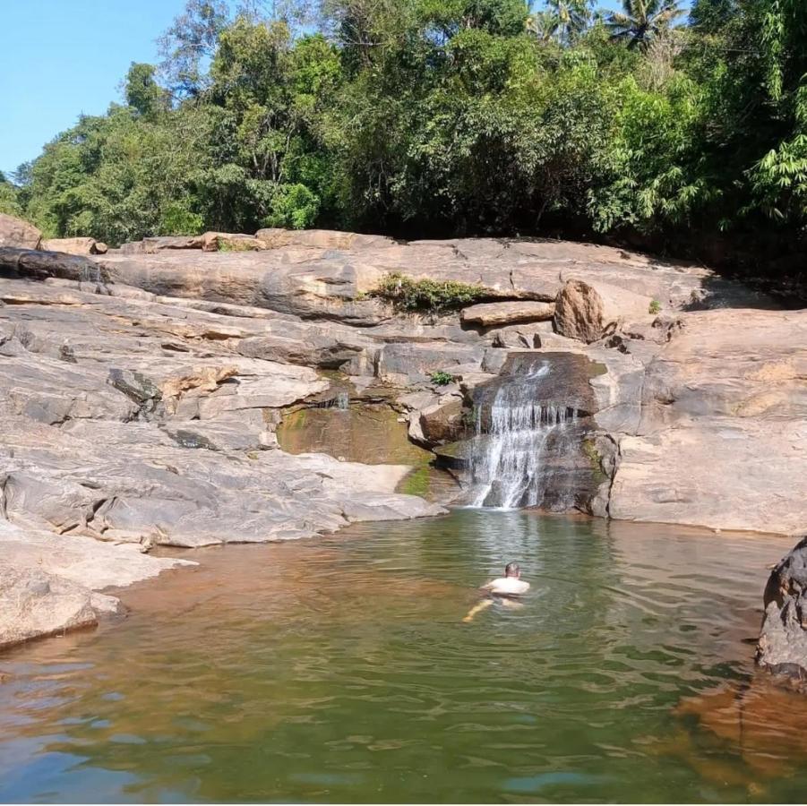 Riverbench Homestay Munnar, Anaviratty Exteriér fotografie