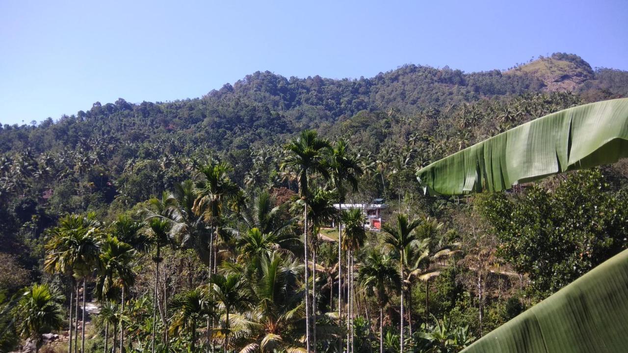 Riverbench Homestay Munnar, Anaviratty Exteriér fotografie